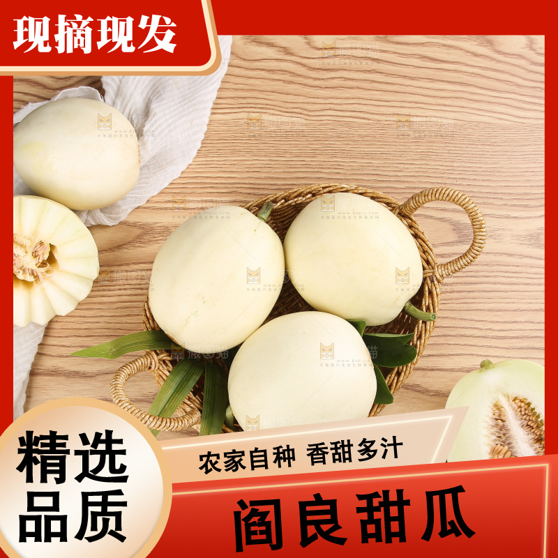 木底上的阎良甜瓜