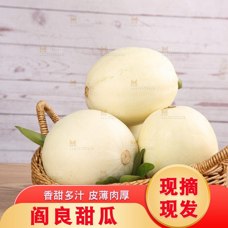 木底上的阎良甜瓜