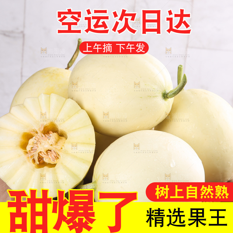 木底上的阎良甜瓜