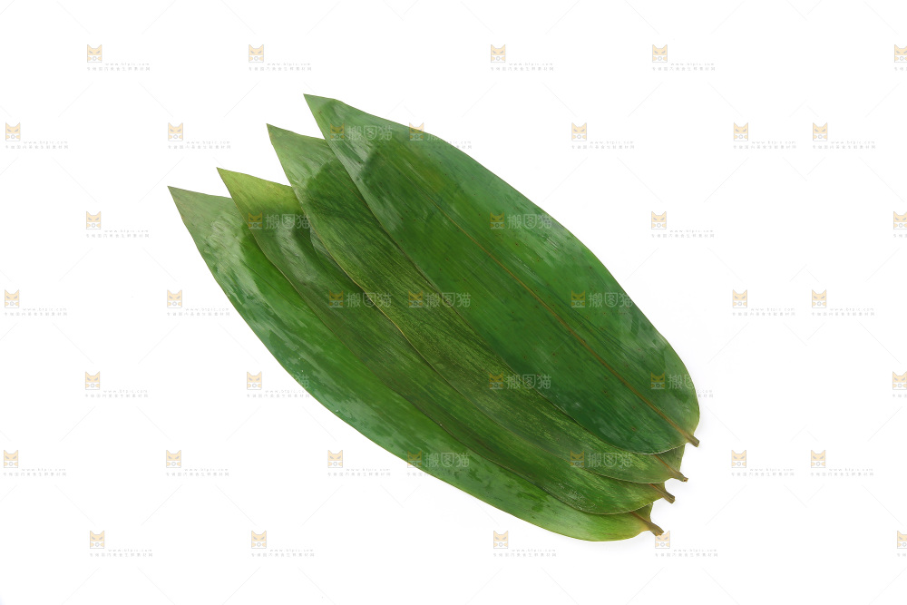 白底上的粽叶