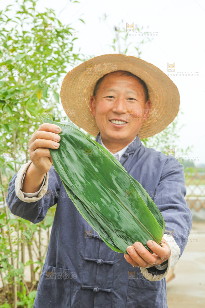 手里拿着新鲜粽叶