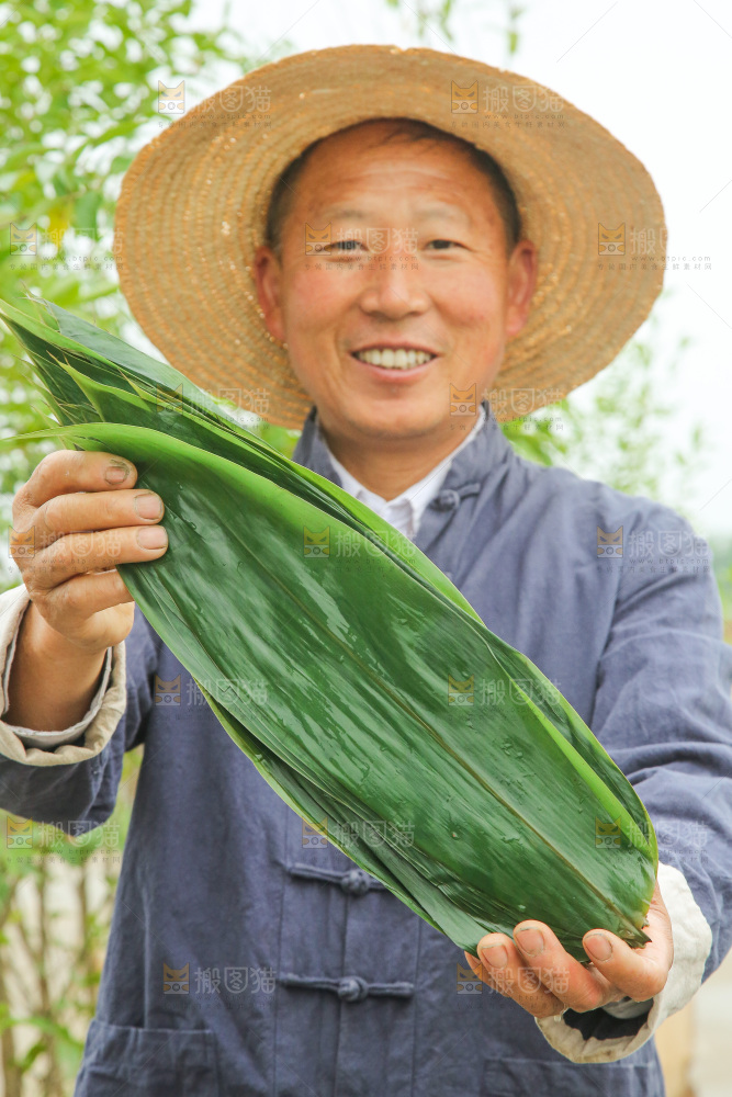 手里拿着新鲜粽叶