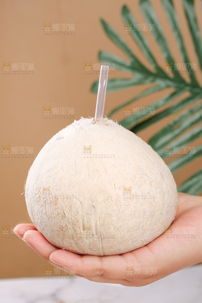 浅底上的牛奶椰皇