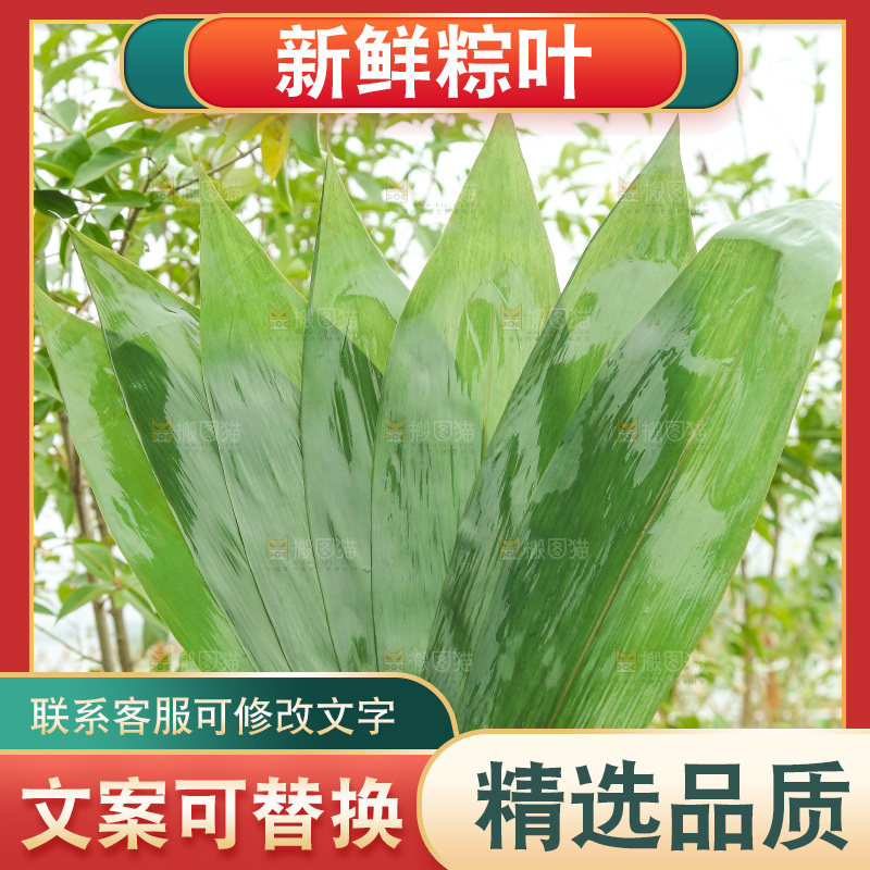 手里拿着新鲜粽叶