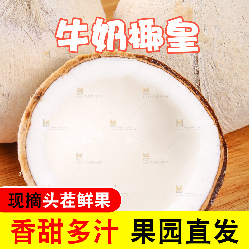 浅底上的牛奶椰皇