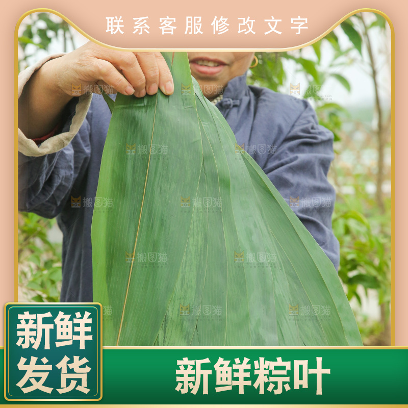 手里拿着新鲜粽叶