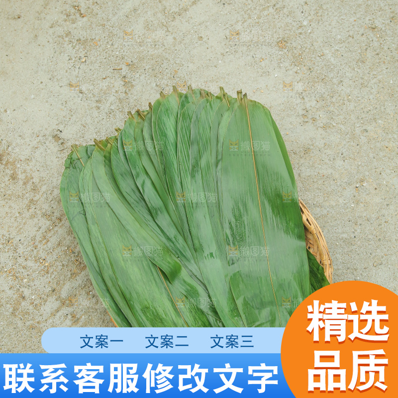 手里拿着新鲜粽叶