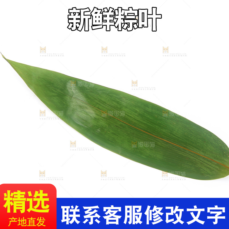 白底上的粽叶