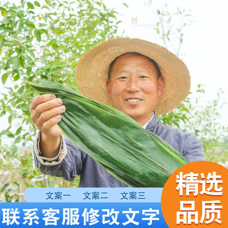 手里拿着新鲜粽叶