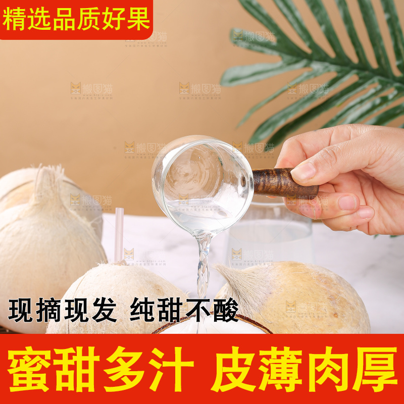 浅底上的牛奶椰皇