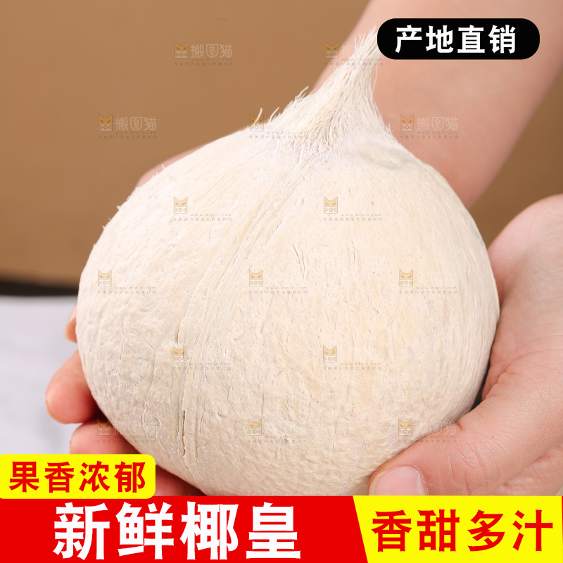 浅底上的牛奶椰皇