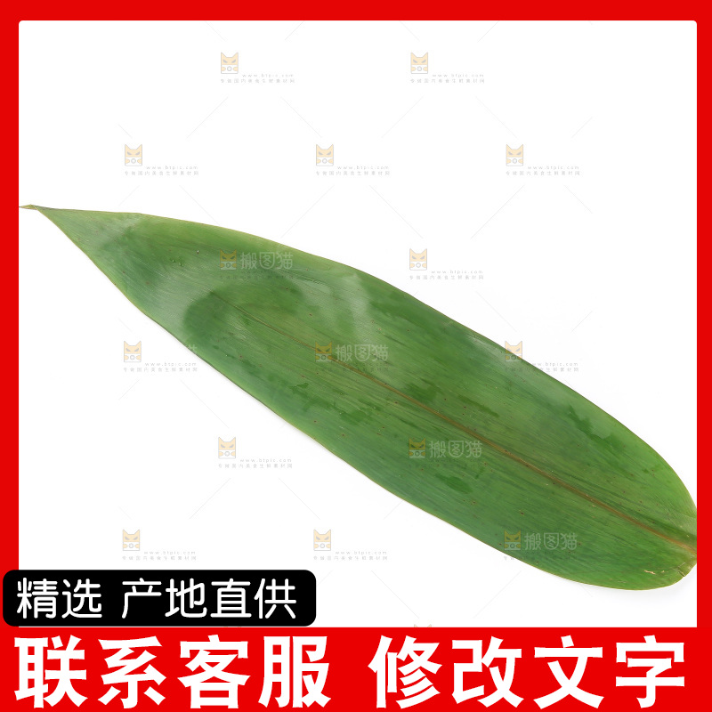 白底上的粽叶