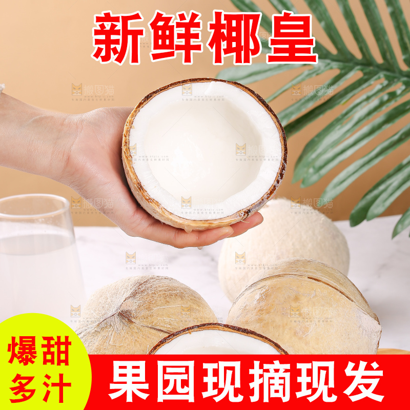 浅底上的牛奶椰皇