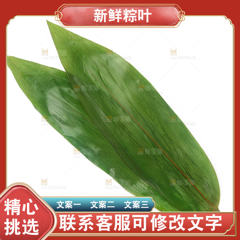 白底上的粽叶
