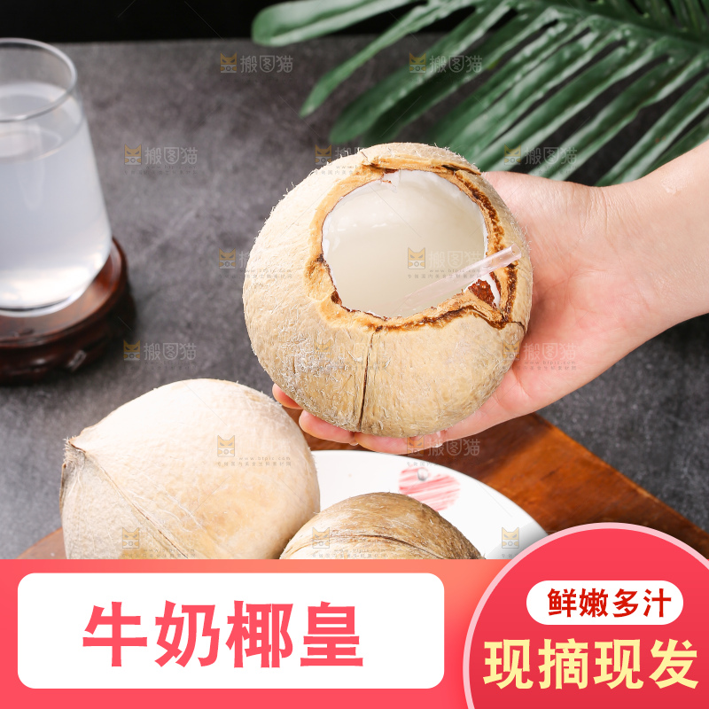 深底上的牛奶椰皇