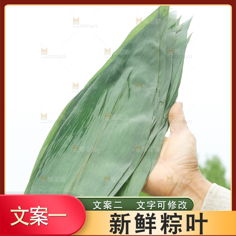 手里拿着新鲜粽叶