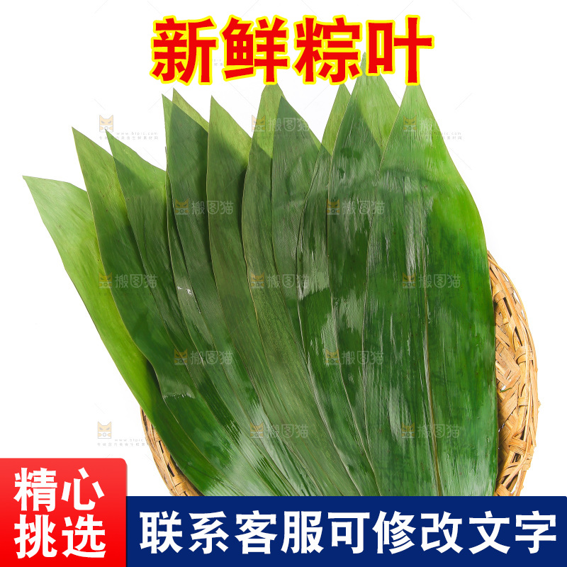 白底上的粽叶