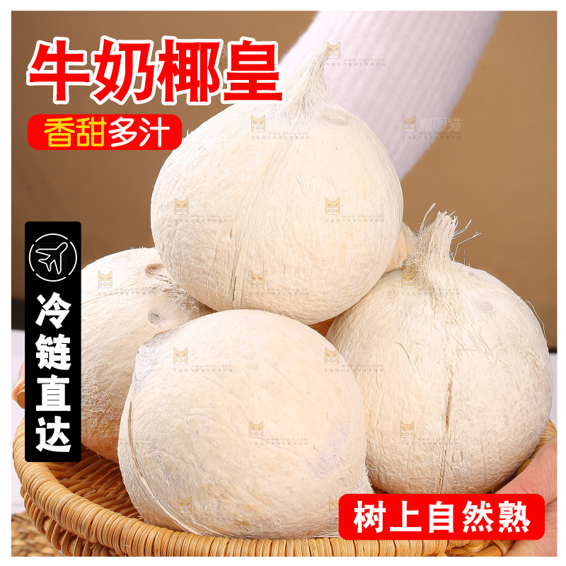 浅底上的牛奶椰皇