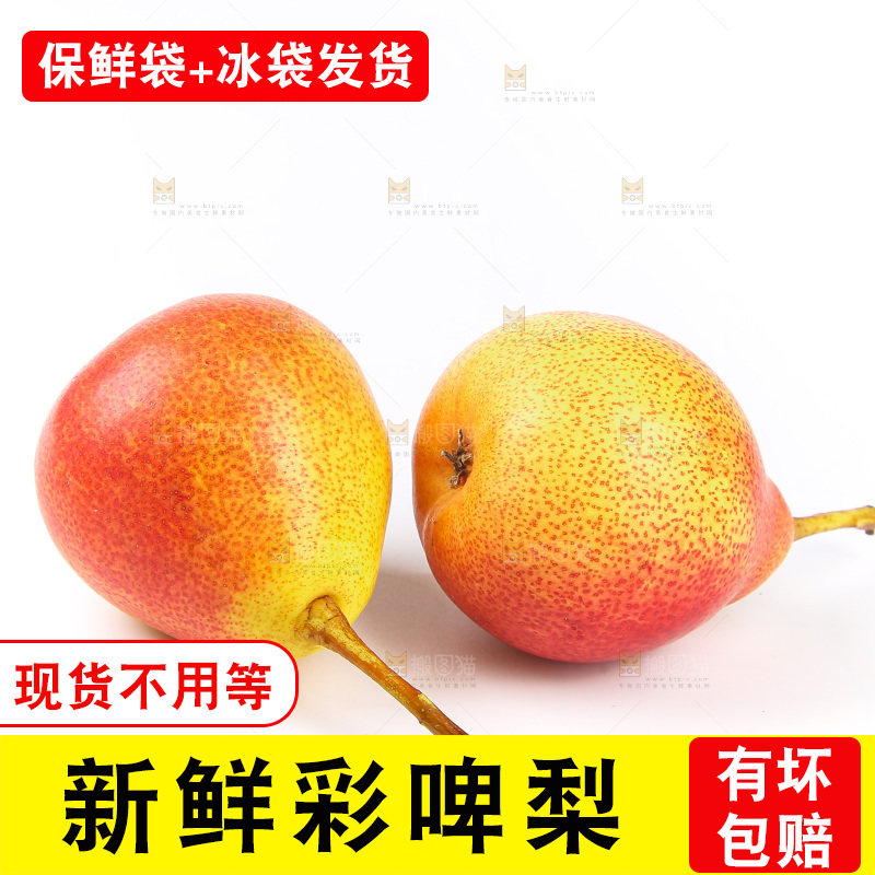 白底上的彩啤梨