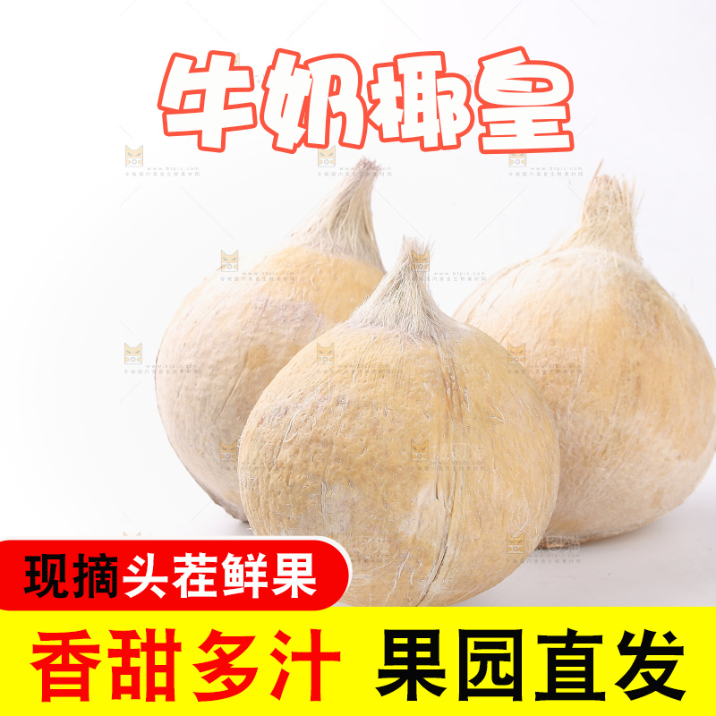 白底上的牛奶椰皇