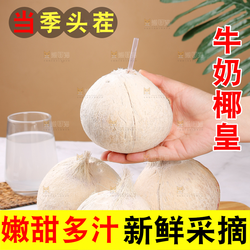 浅底上的牛奶椰皇