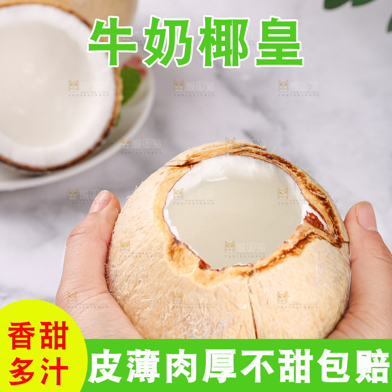 浅底上的牛奶椰皇