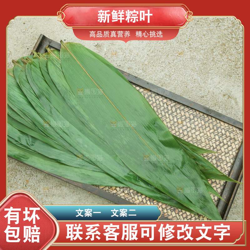 手里拿着新鲜粽叶
