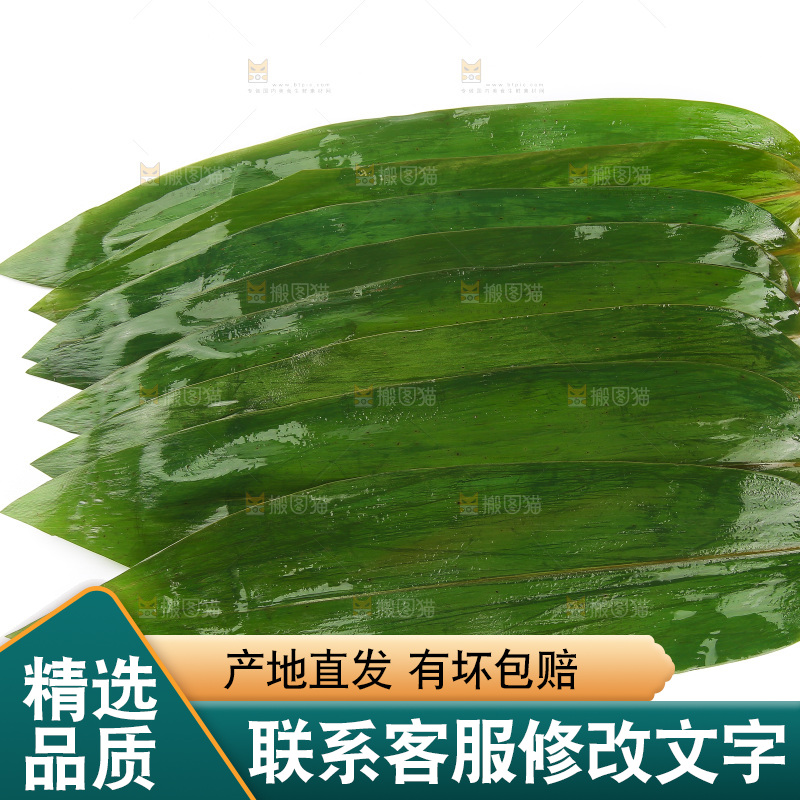 白底上的粽叶
