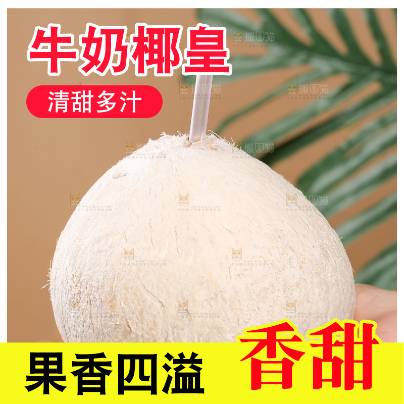 浅底上的牛奶椰皇
