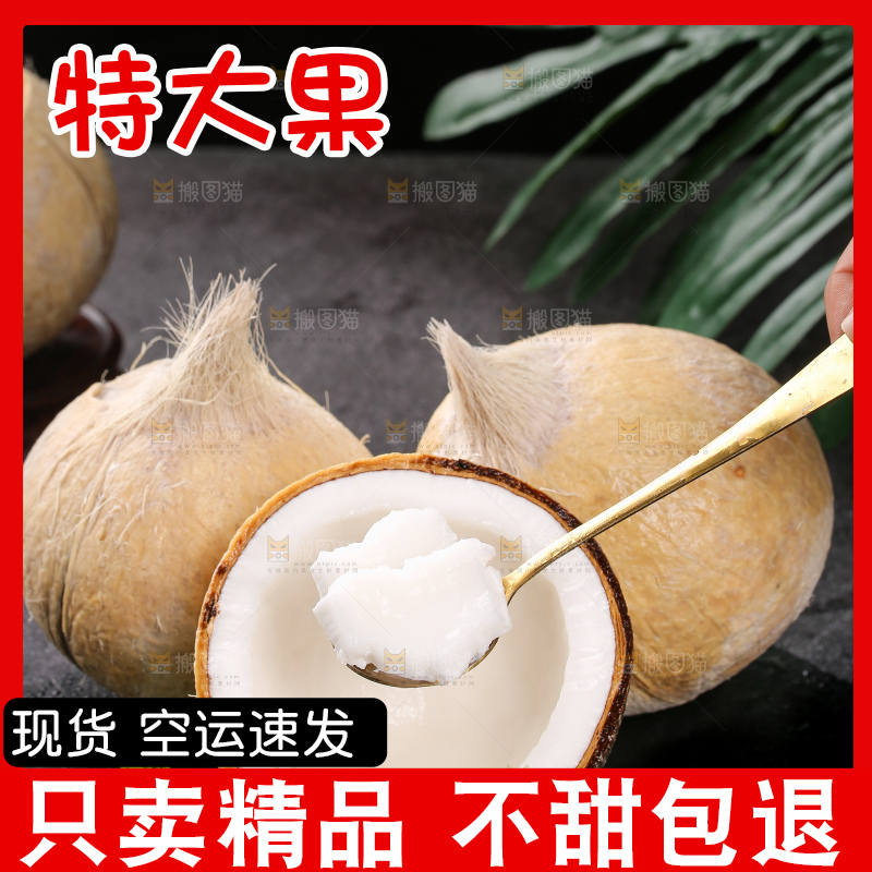 深底上的牛奶椰皇