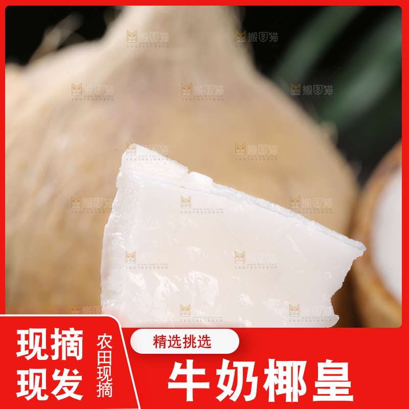 深底上的牛奶椰皇