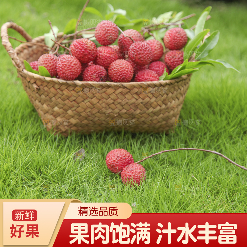 草地上放着桂味荔枝