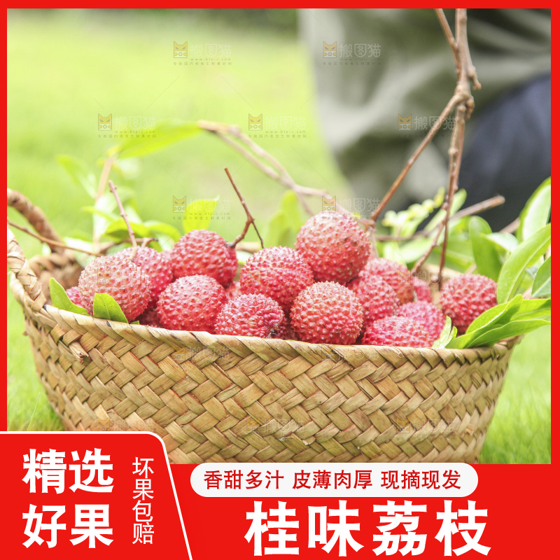 草地上放着桂味荔枝