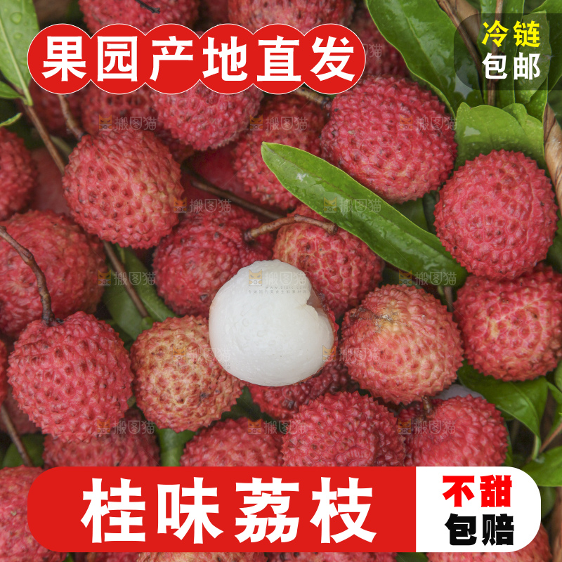 草地上放着桂味荔枝