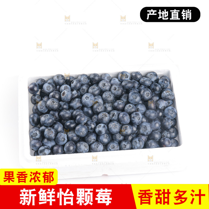 白底上的怡颗莓