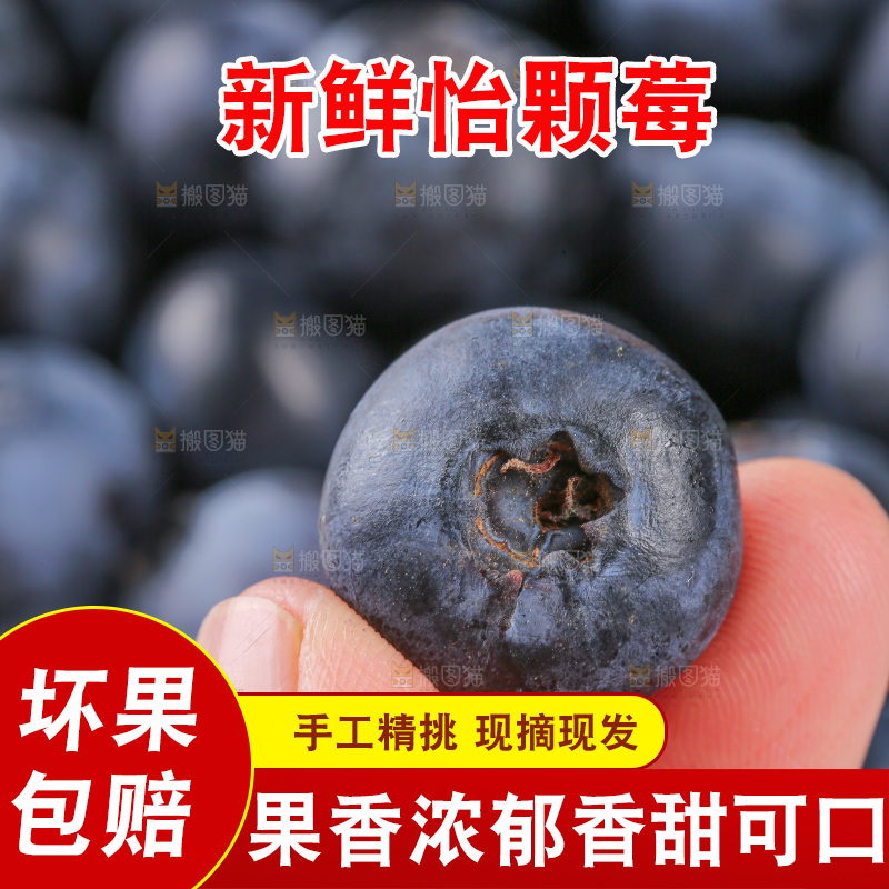 浅底上的怡颗莓