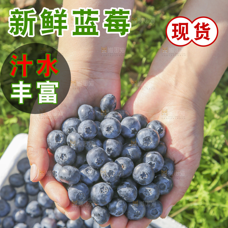 手里拿着蓝莓鲜果