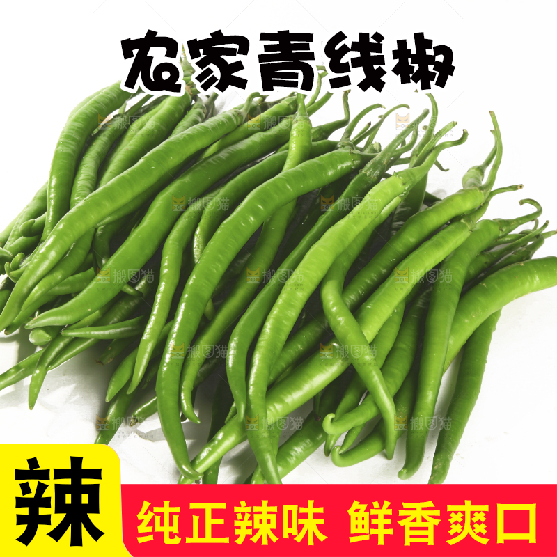 白底上的新鲜线椒
