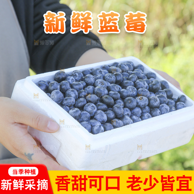 手里拿着蓝莓鲜果