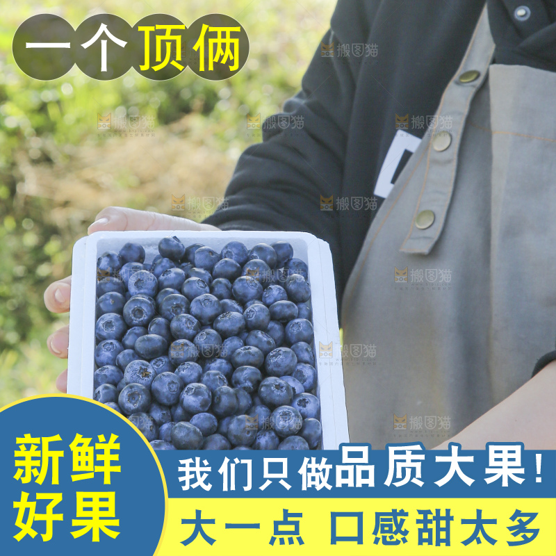 手里拿着蓝莓鲜果