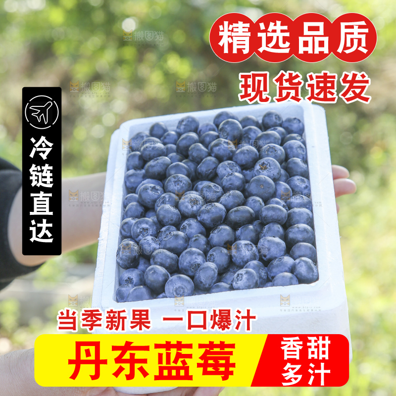 手里拿着蓝莓鲜果