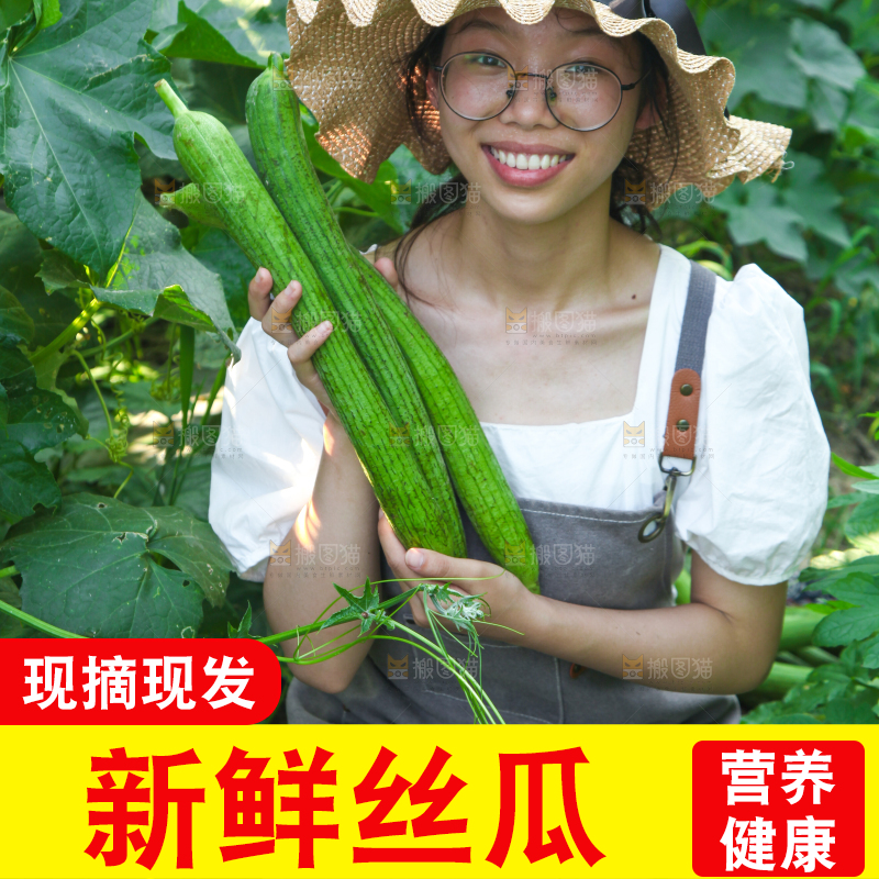 手里拿着长丝瓜