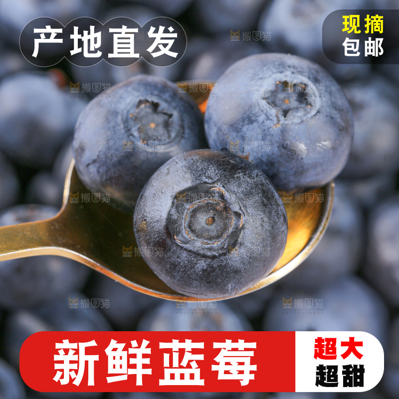 浅底上的怡颗莓