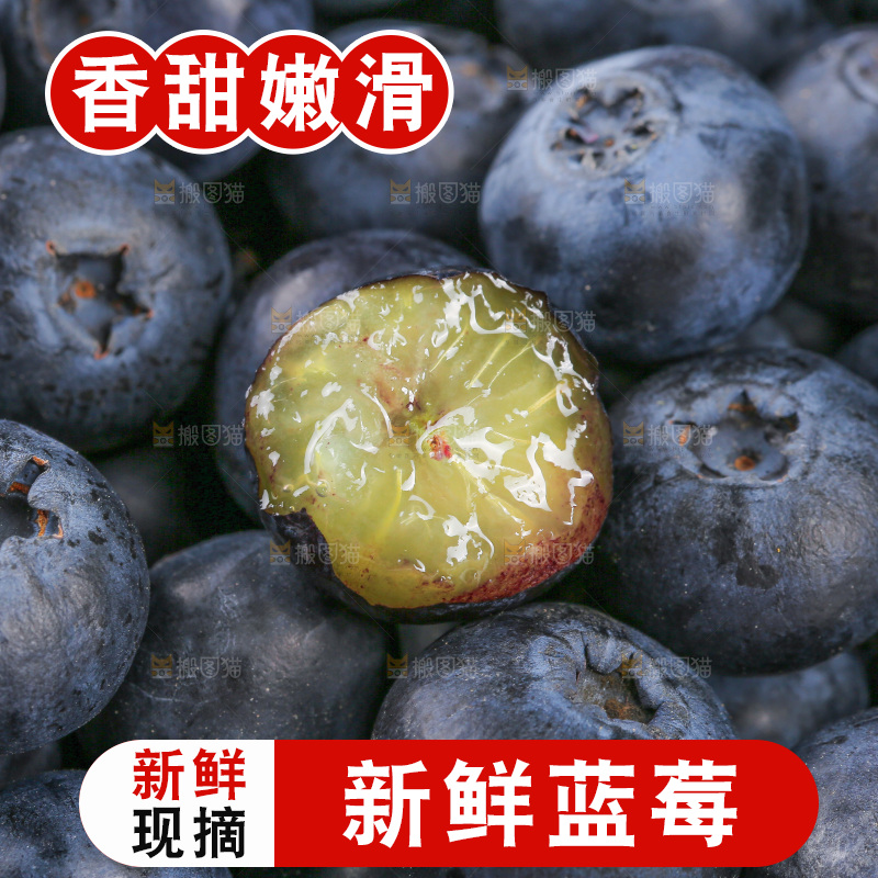 浅底上的怡颗莓