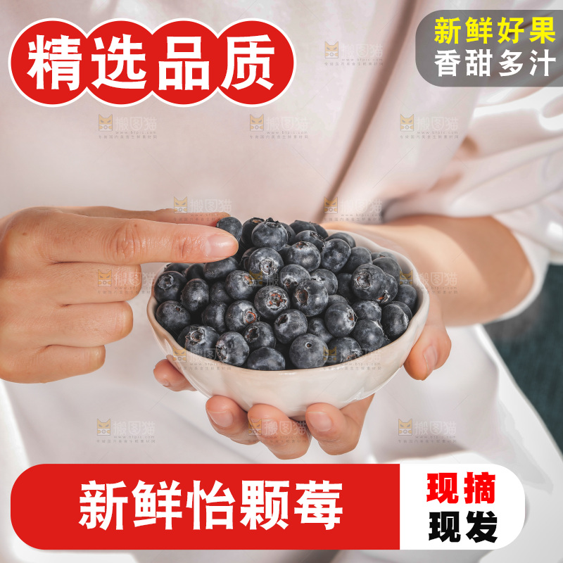 浅底上的新鲜蓝莓