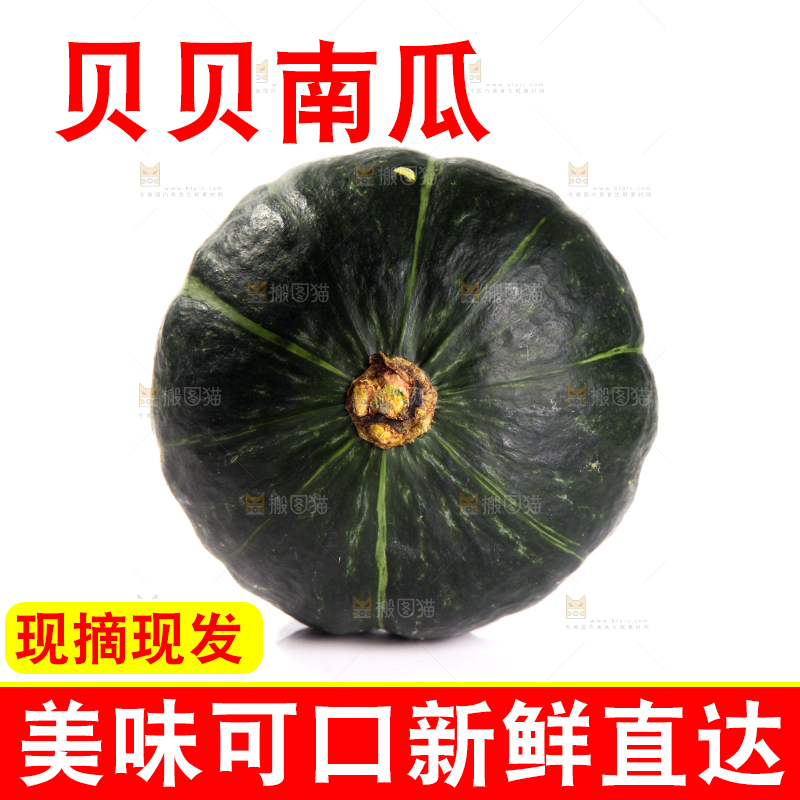 白底上放着的贝贝南瓜