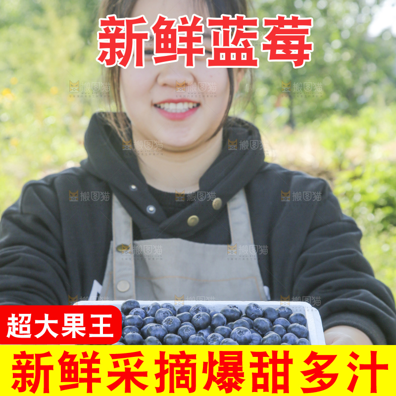 手里拿着蓝莓鲜果