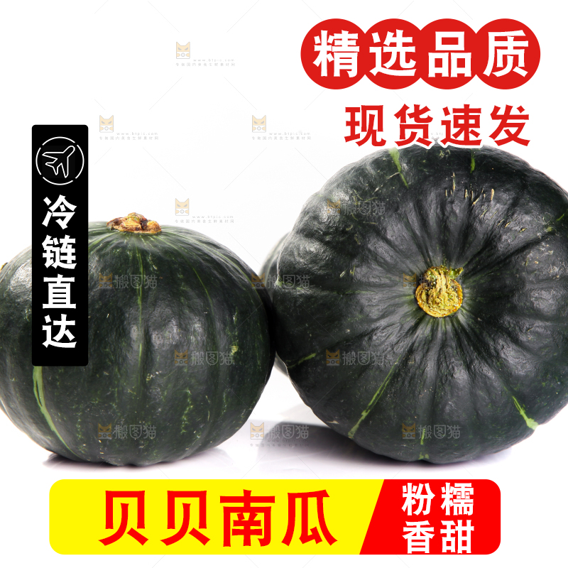 白底上放着的贝贝南瓜