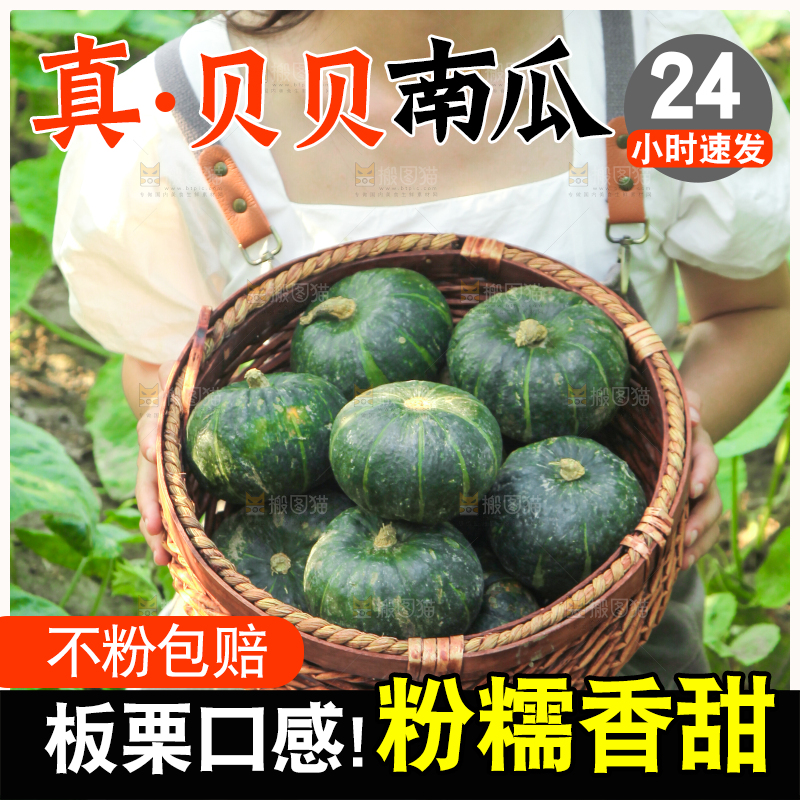 手里拿着贝贝南瓜