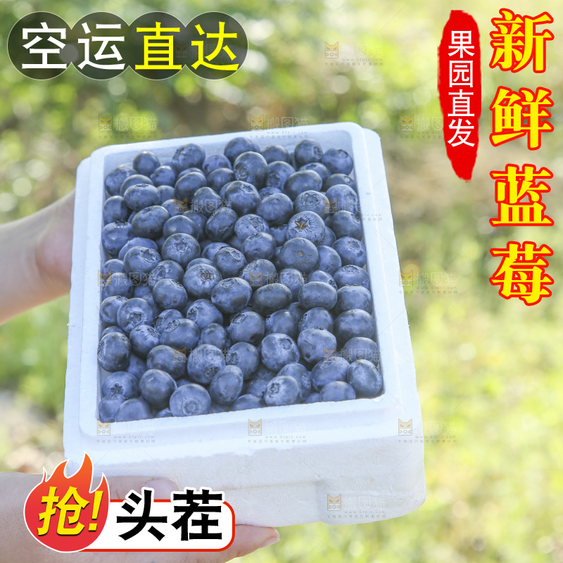 手里拿着蓝莓鲜果
